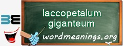 WordMeaning blackboard for laccopetalum giganteum